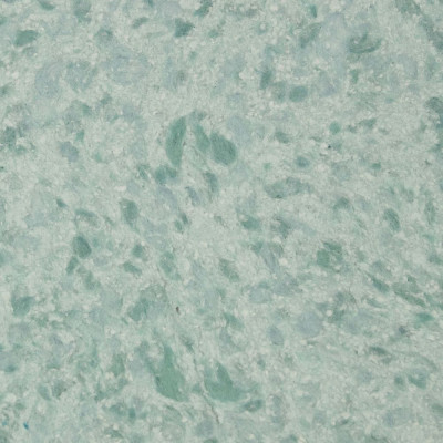 Виктория Б-723