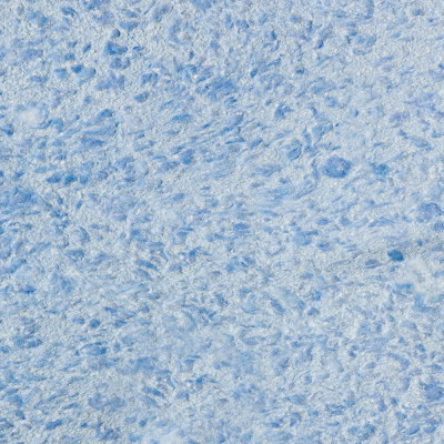 Виктория Б-717