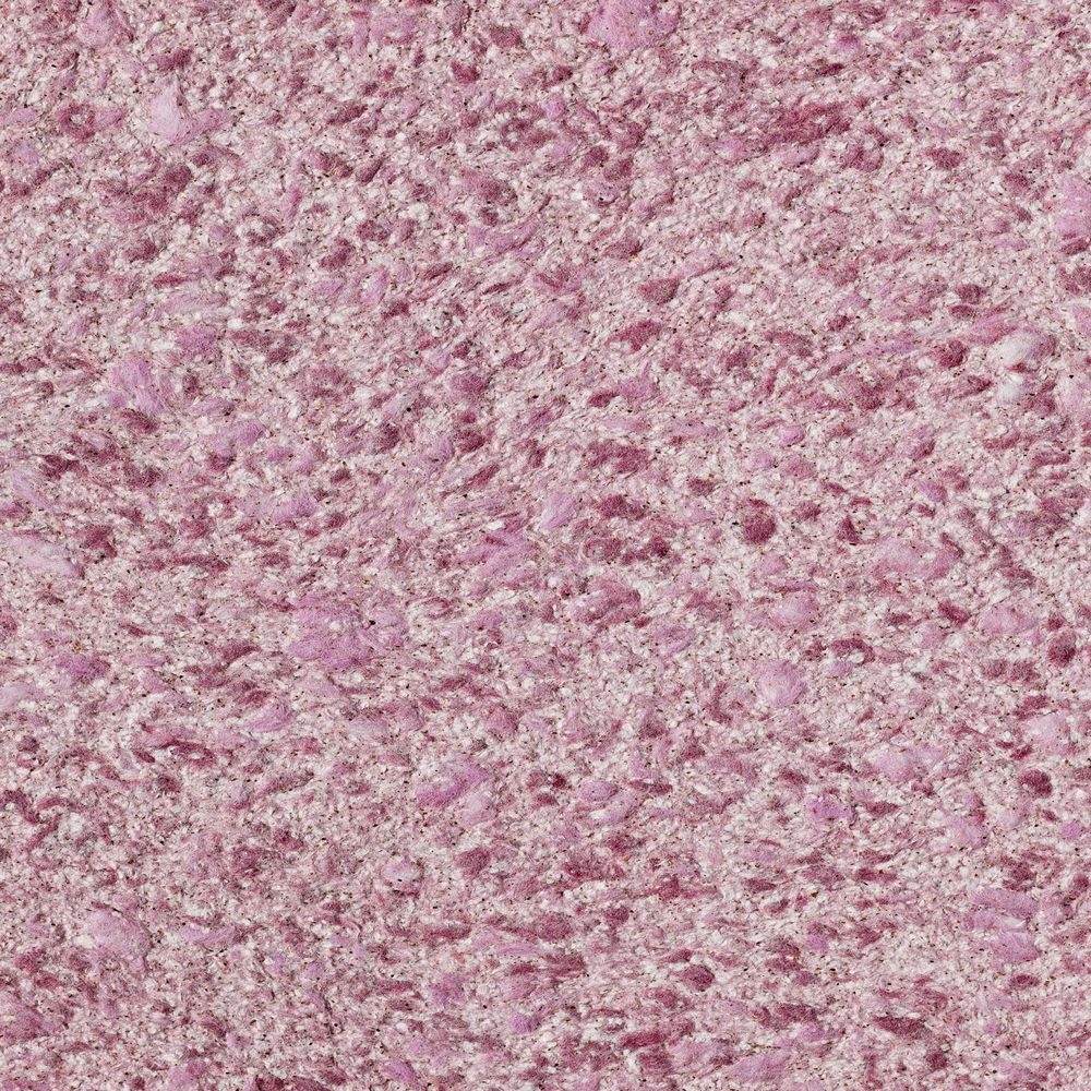 Виктория Б-713