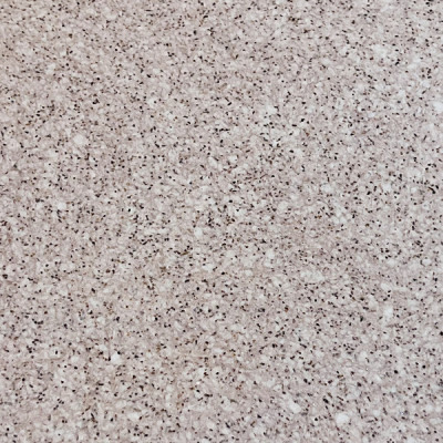 Алегра № - 173