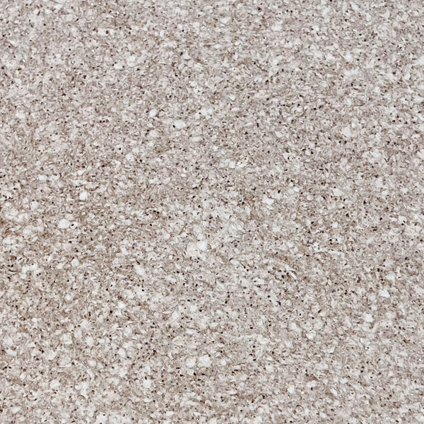 Алегра № - 174